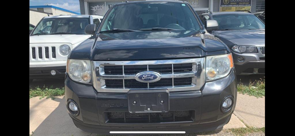 2010 Ford Escape XLT