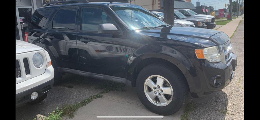 2010 Ford Escape XLT