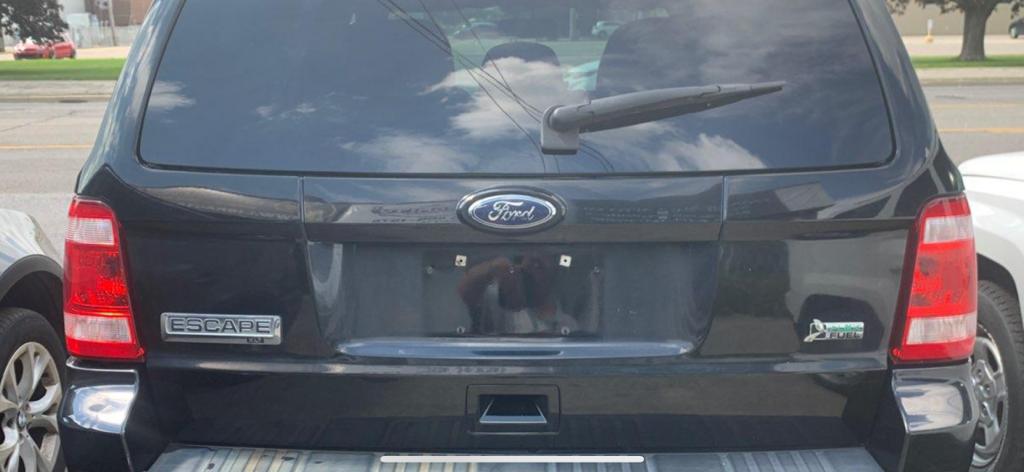 2010 Ford Escape XLT