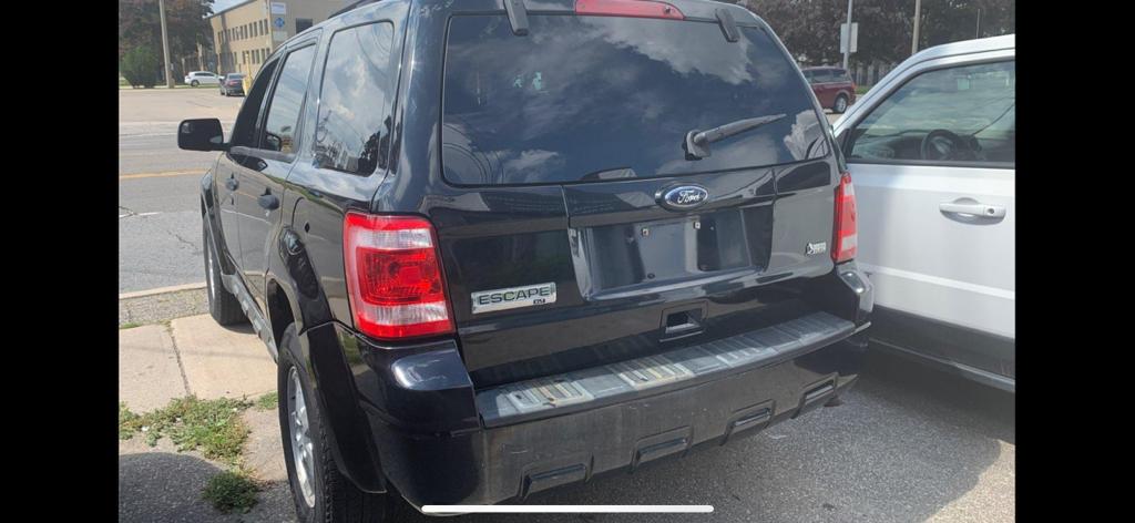 2010 Ford Escape XLT