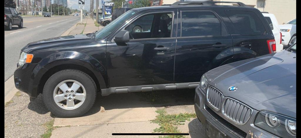 2010 Ford Escape XLT
